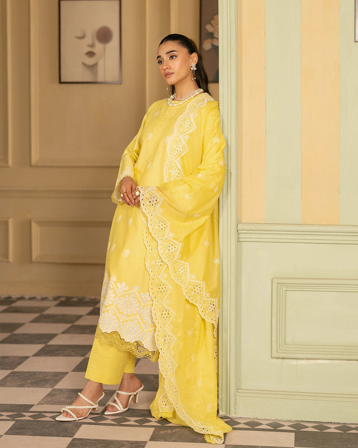 Premium Chikankari