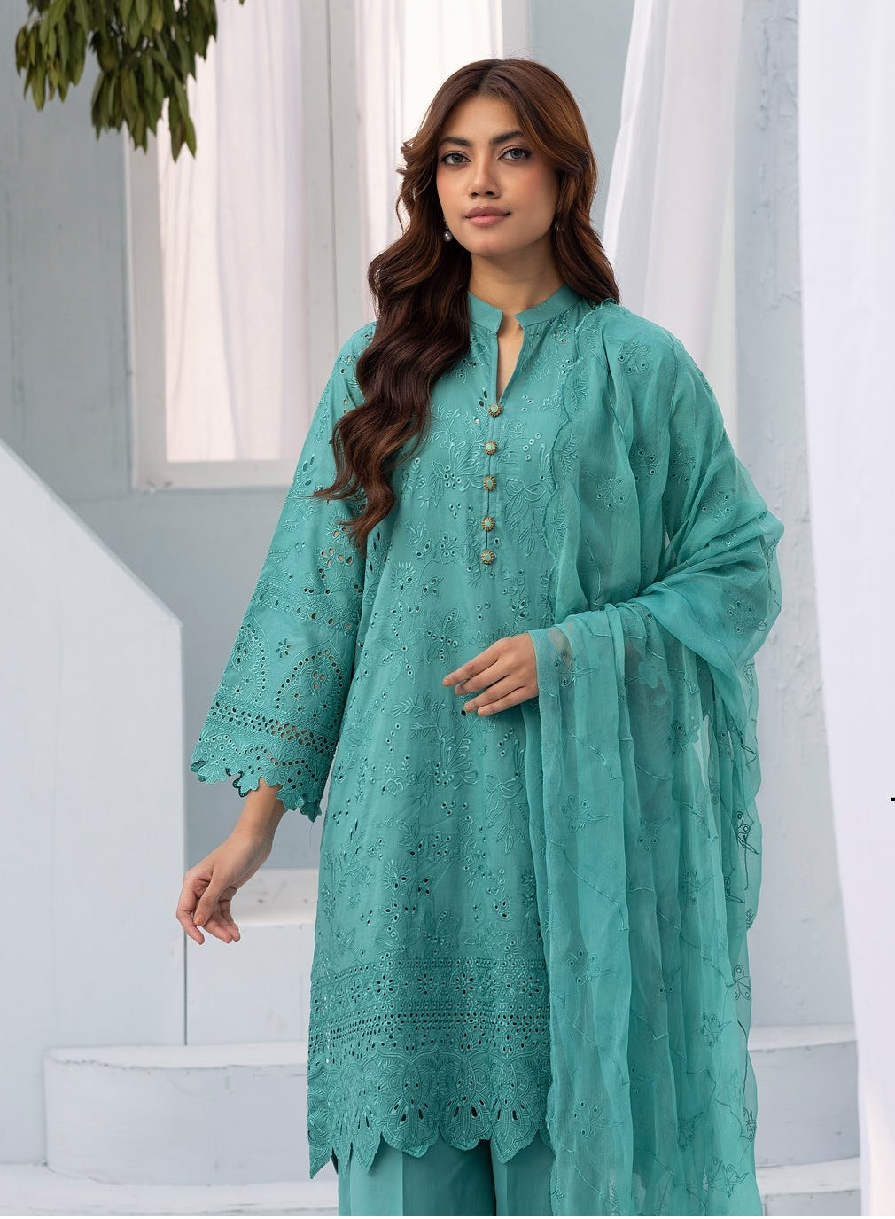Signature Lawn Collection