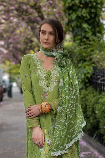 SN Basics Unstitched Lawn
