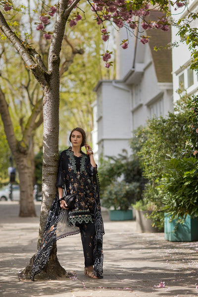 SN Basics Unstitched Lawn