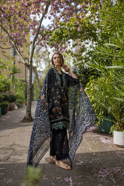 SN Basics Unstitched Lawn