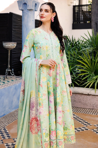 Aurea Summer Lawn