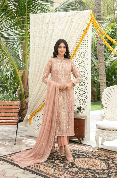 Nuresa Embroidered Fancy Chiffon
