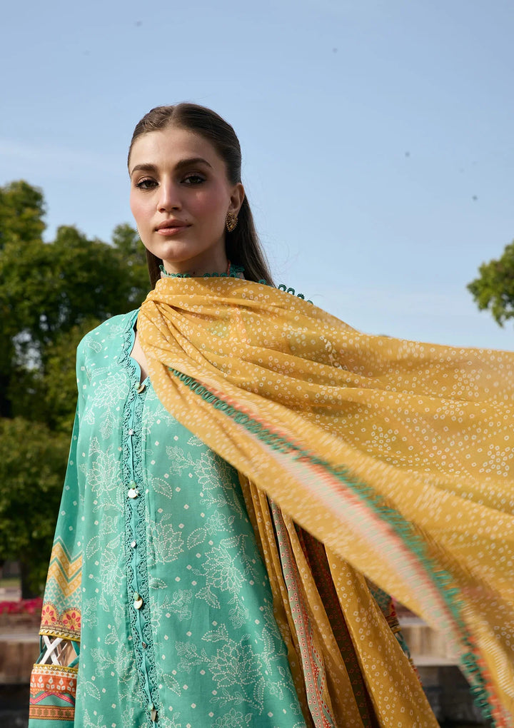PRINTS CHIFFON COLLECTION &