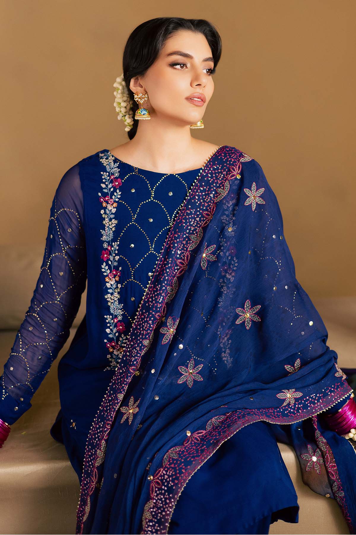 Mukeshkari Embroidered Chiffon