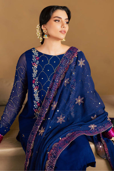 Mukeshkari Embroidered Chiffon