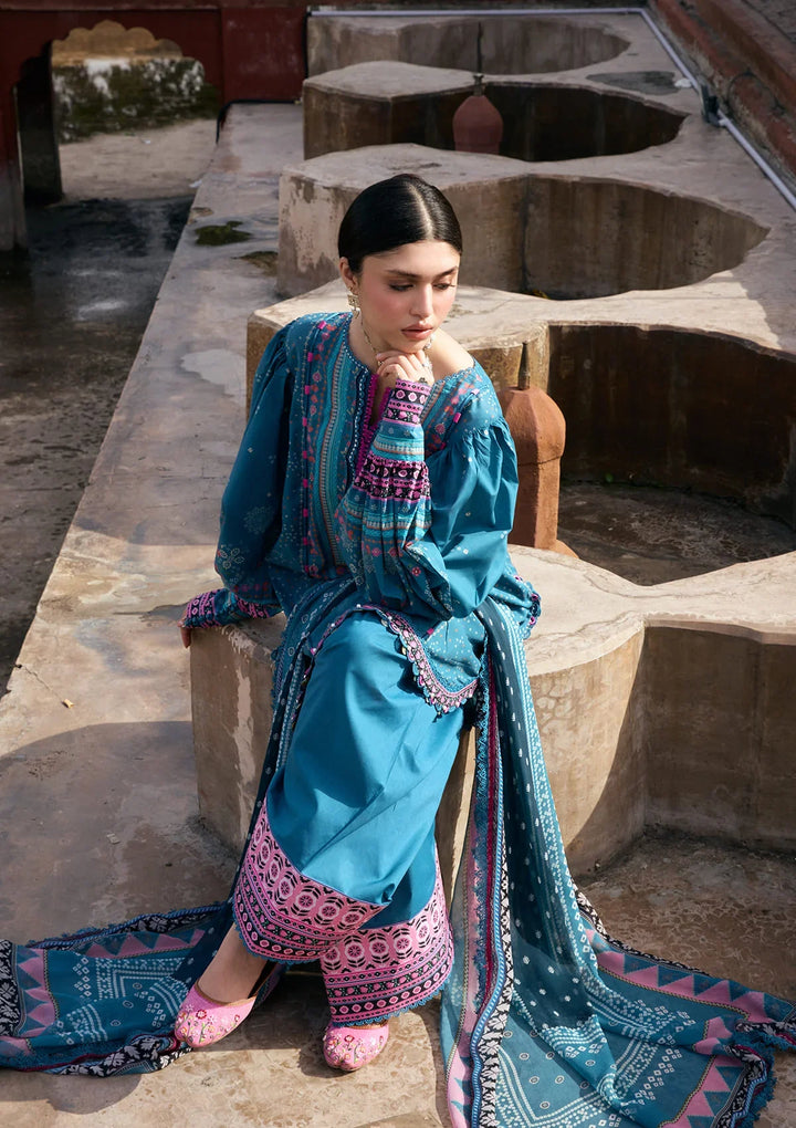 PRINTS CHIFFON COLLECTION &