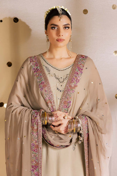 Mukeshkari Embroidered Chiffon