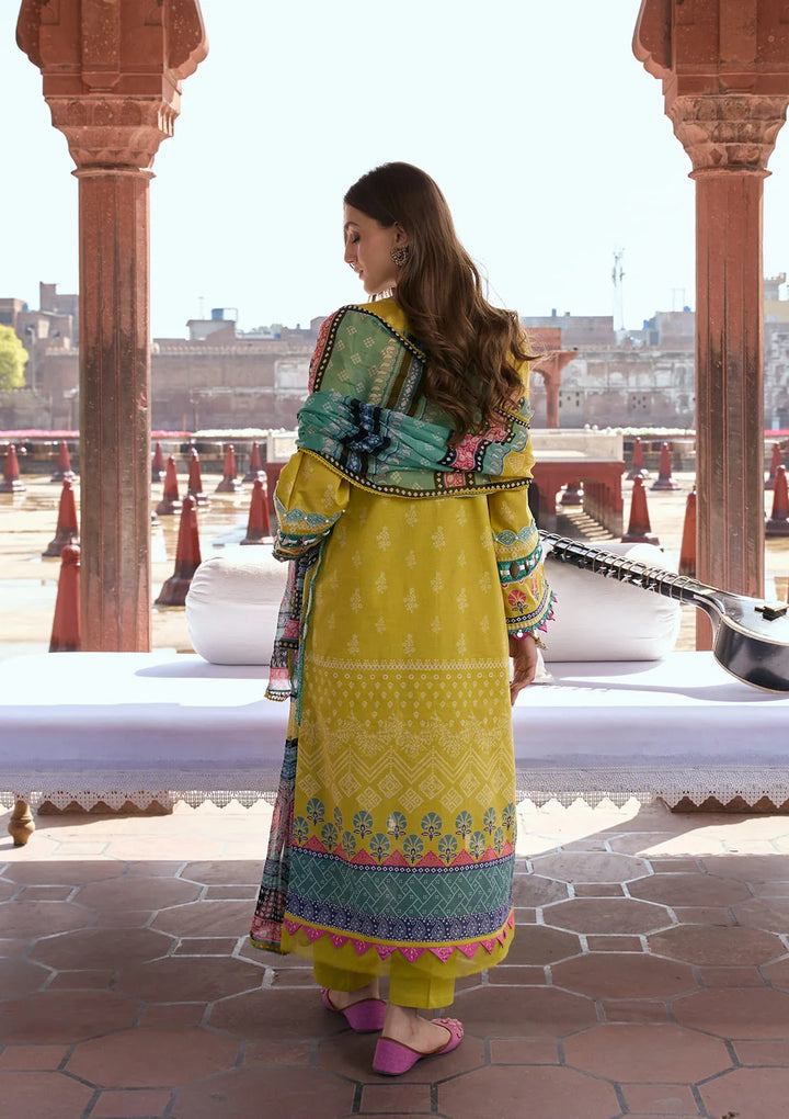 PRINTS CHIFFON COLLECTION &