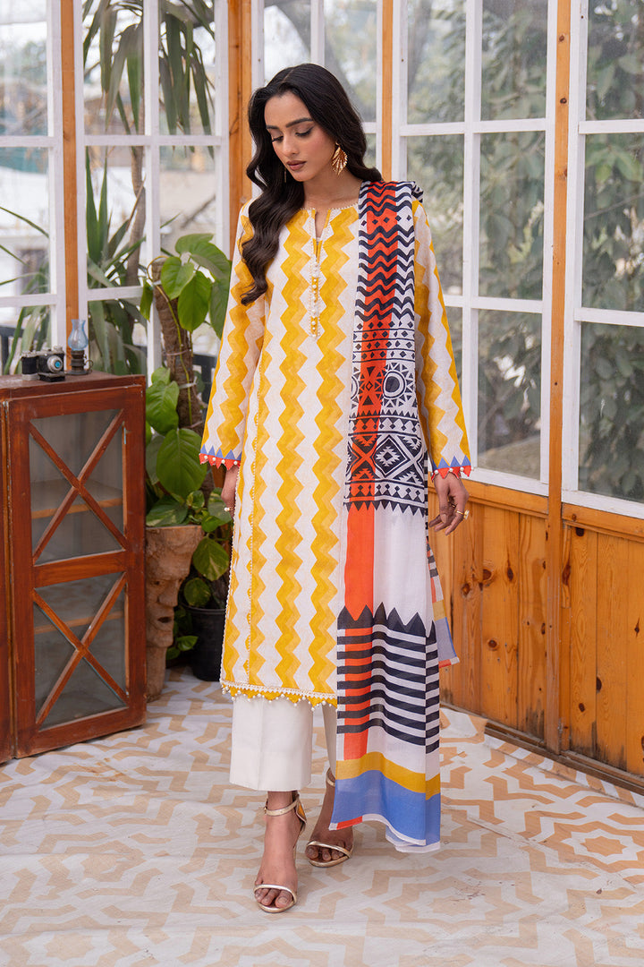 Printed - 2 Pc Lawn Suit