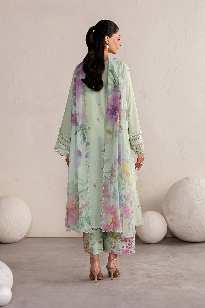 Festive Embroidered Lawn