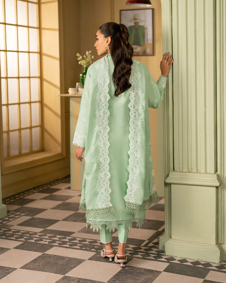 Premium Chikankari