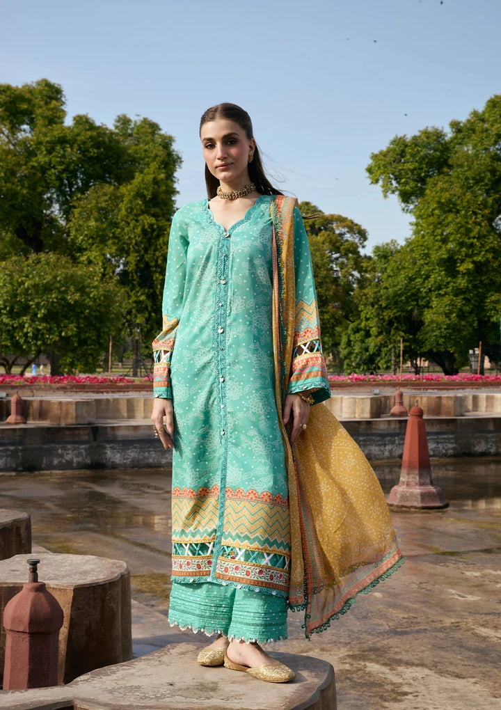 PRINTS CHIFFON COLLECTION &