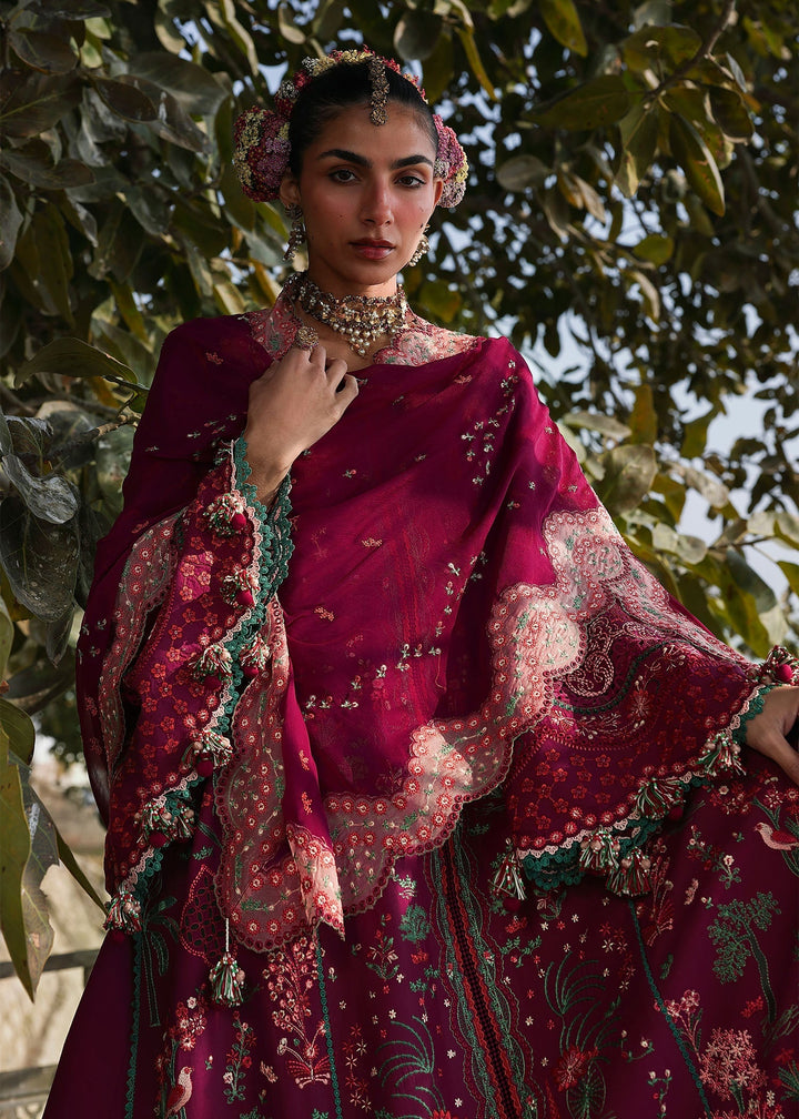Luxury Lawn Edit
