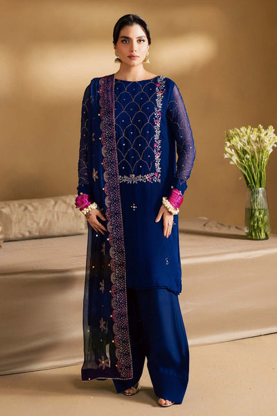 Mukeshkari Embroidered Chiffon
