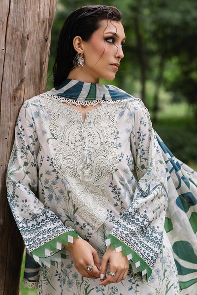 Daily Delights Unstitched Lawn