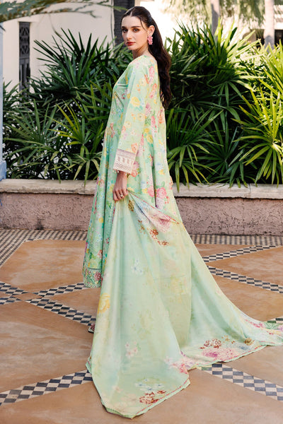Aurea Summer Lawn