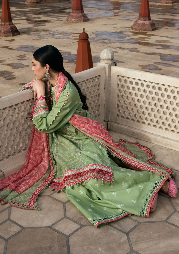 PRINTS CHIFFON COLLECTION &