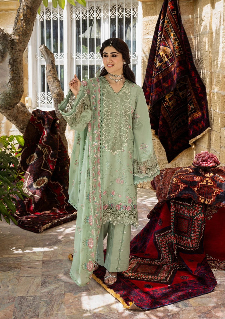 Karandi with Embroidered Chiffon