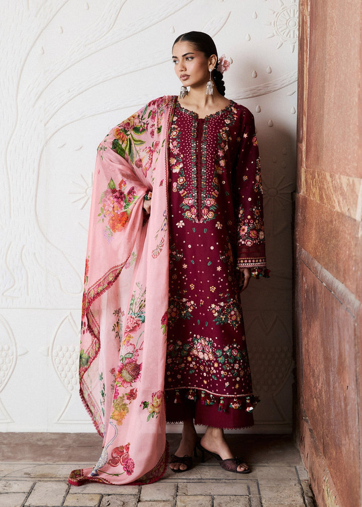 Zan Lawn Collections