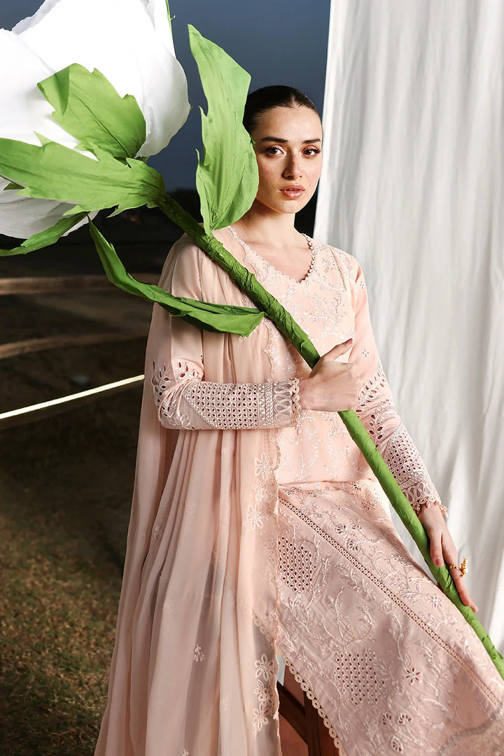 Luxury Lawn