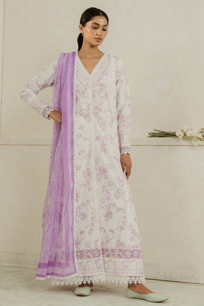AMORE SUMMER LAWN