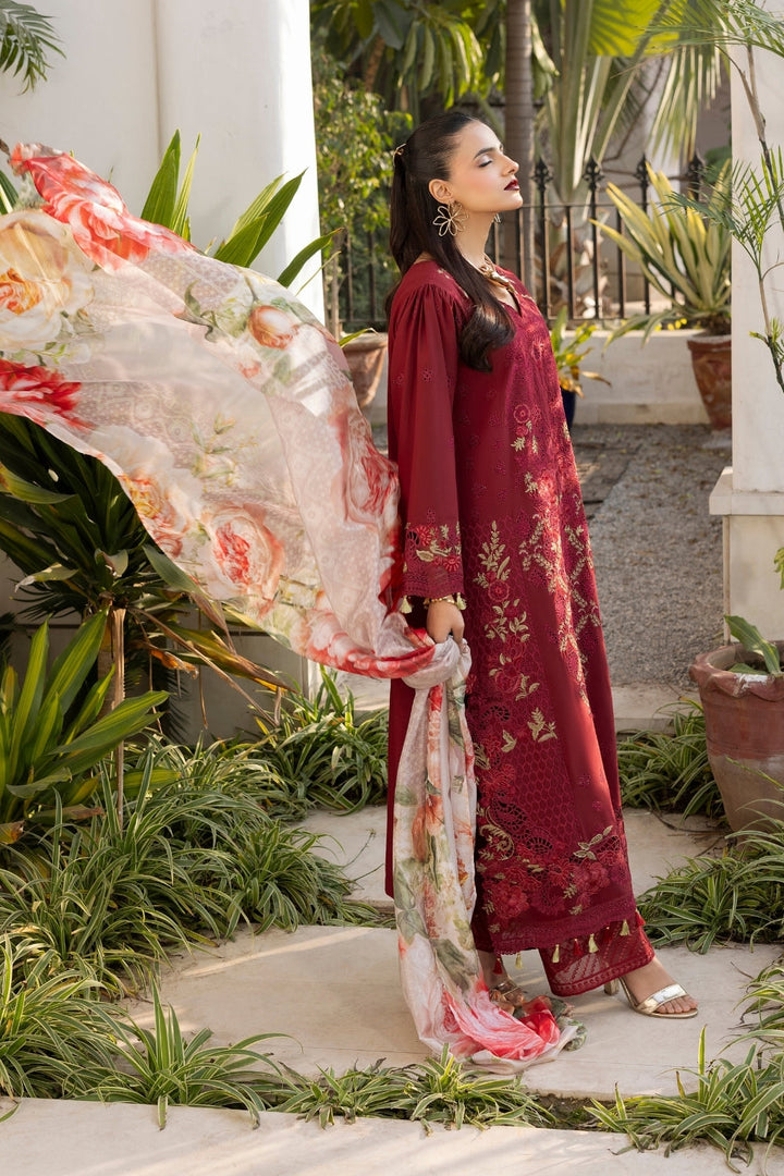 Dil Kash CHIKANKARI  LAWN