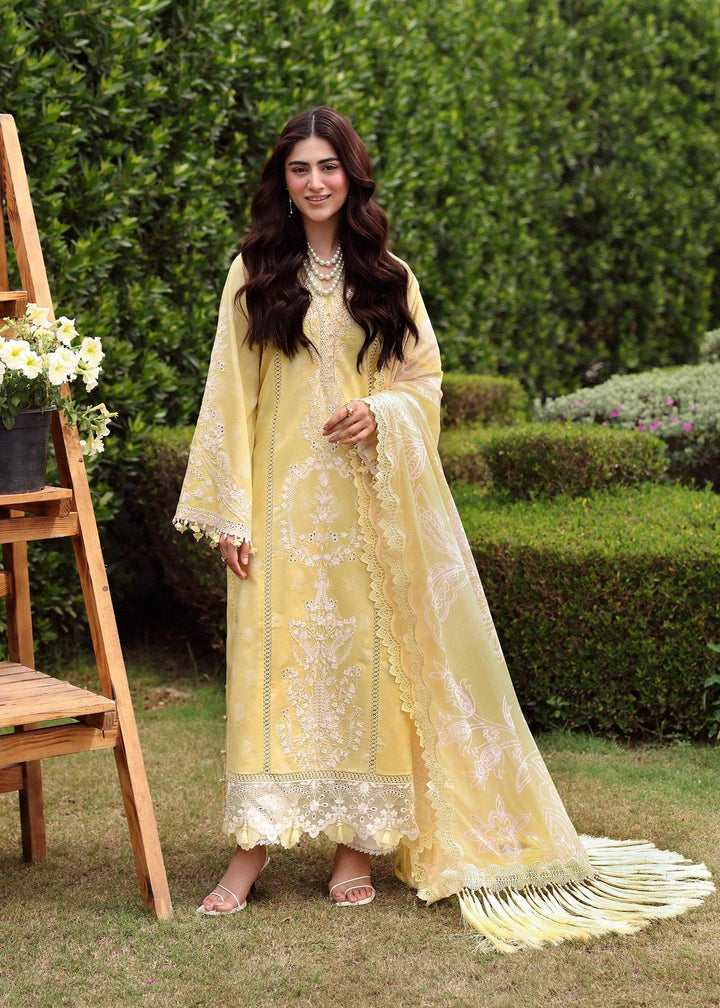 Embroidered Lawn Eid