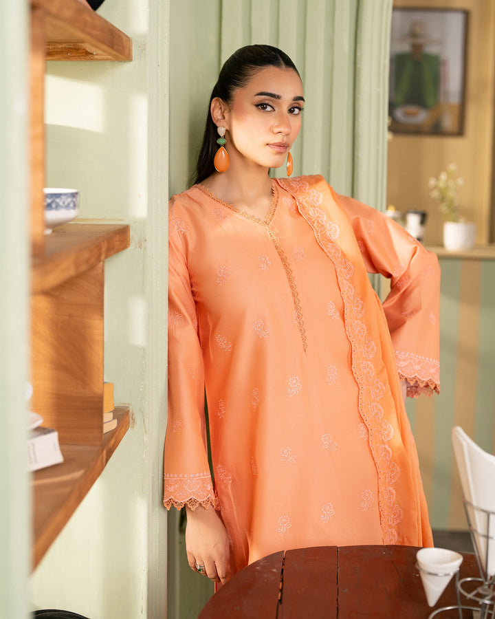 Premium Chikankari