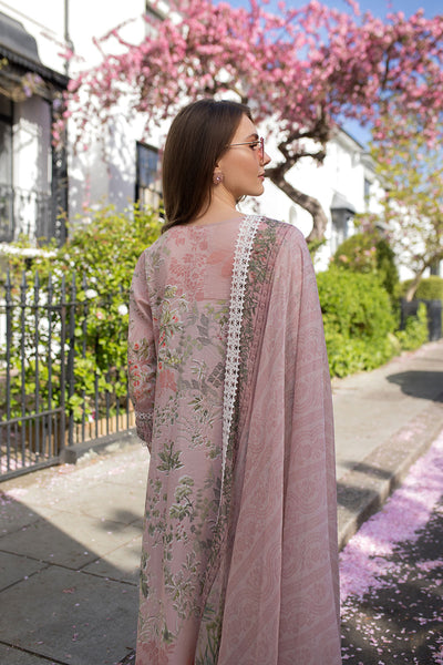 SN Basics Unstitched Lawn