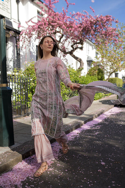 SN Basics Unstitched Lawn