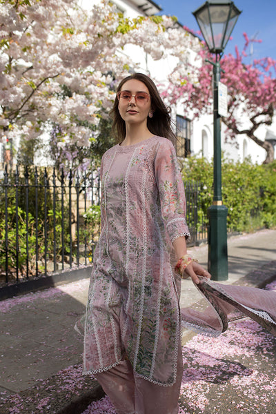 SN Basics Unstitched Lawn