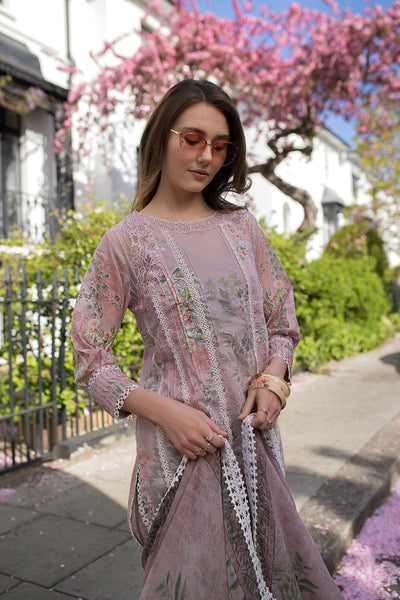 SN Basics Unstitched Lawn