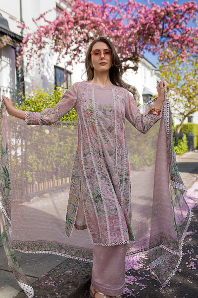 SN Basics Unstitched Lawn