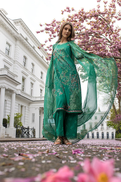 SN Basics Unstitched Lawn