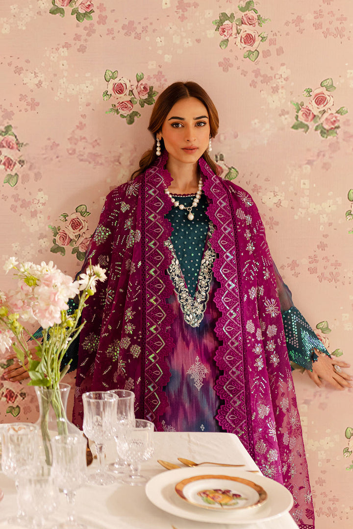 EMBROIDERED CHIFFON COLLECTION