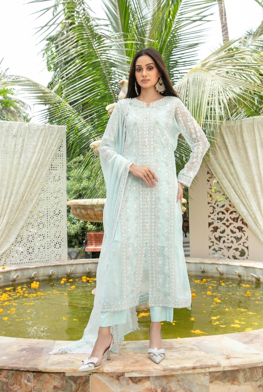 Nuresa Embroidered Fancy Chiffon