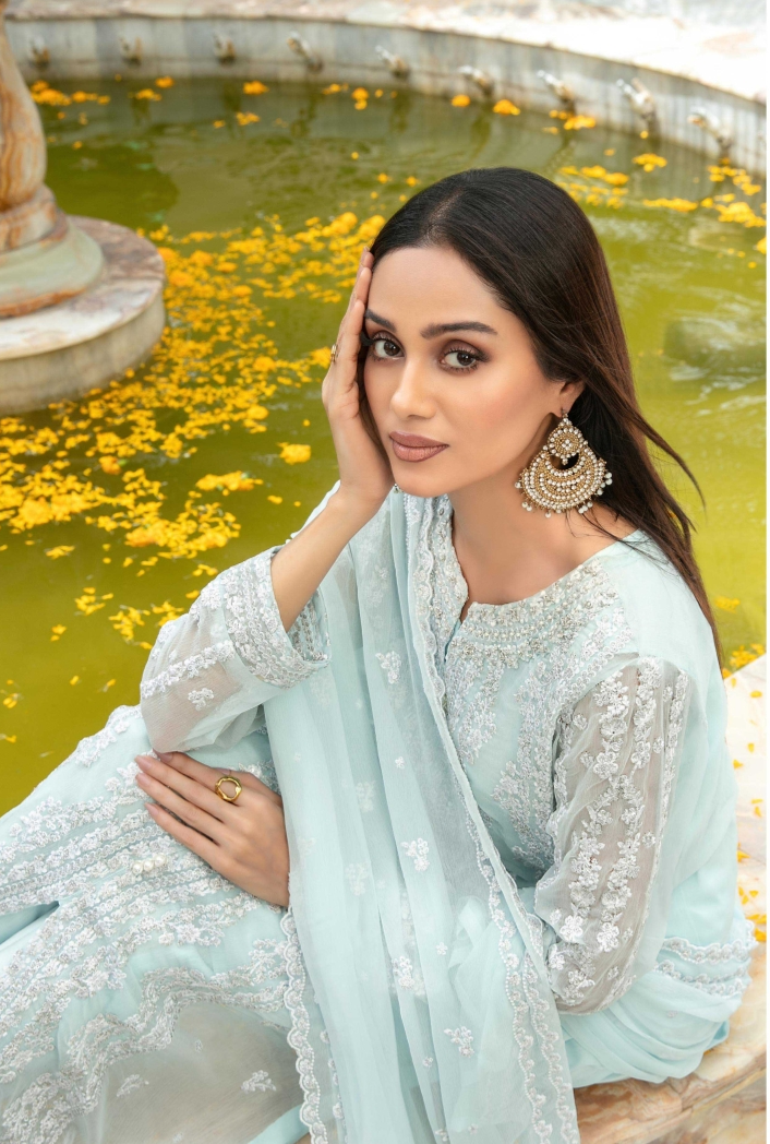Nuresa Embroidered Fancy Chiffon
