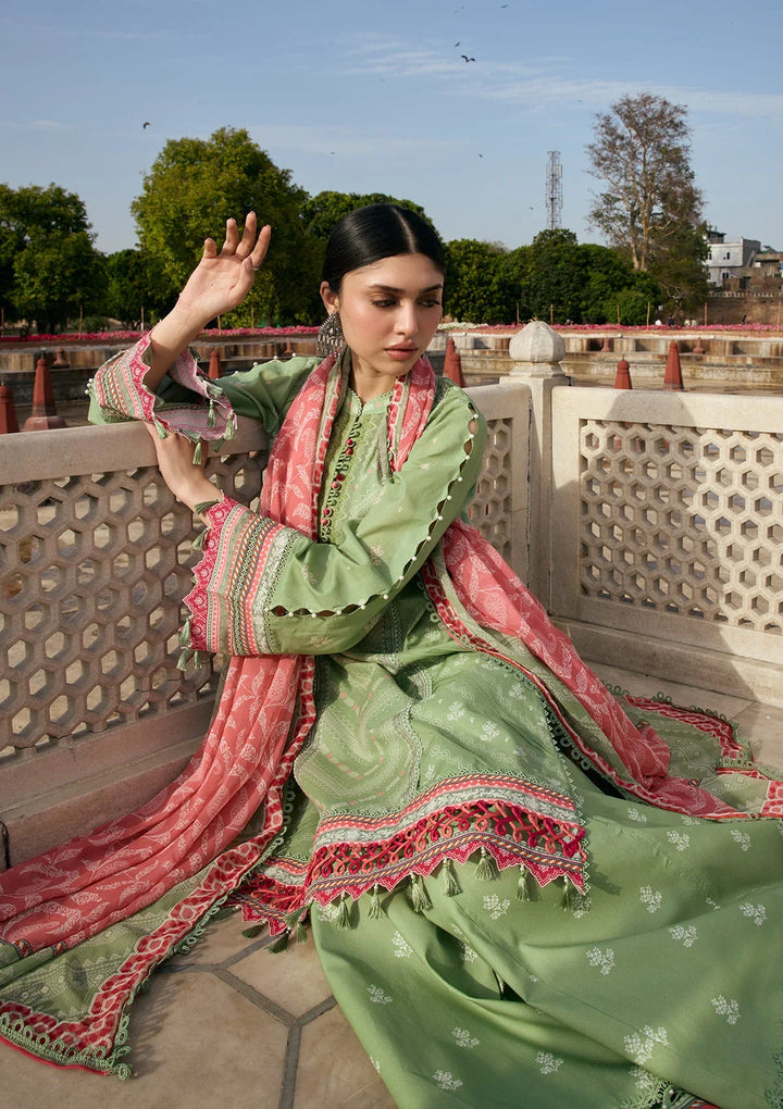 PRINTS CHIFFON COLLECTION &