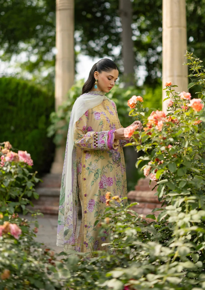 Signature Embroidered Lawn with Chiffon Collection Vol II &