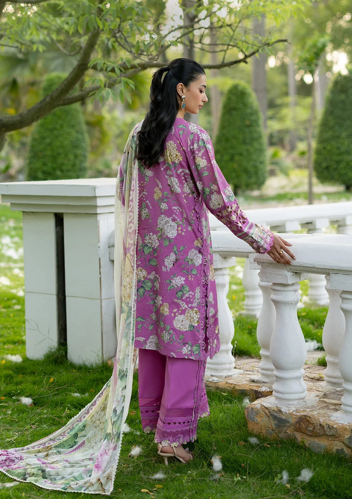 Signature Embroidered Lawn with Chiffon Collection Vol II &