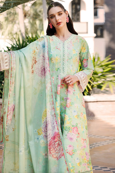 Aurea Summer Lawn