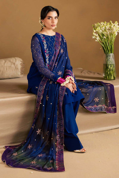 Mukeshkari Embroidered Chiffon