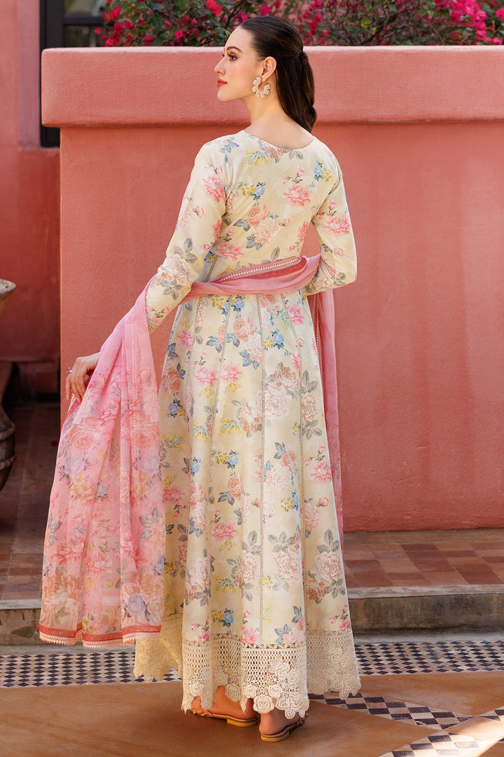 Aurea Summer Lawn