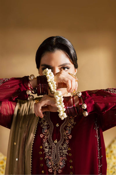 Mukeshkari Embroidered Chiffon