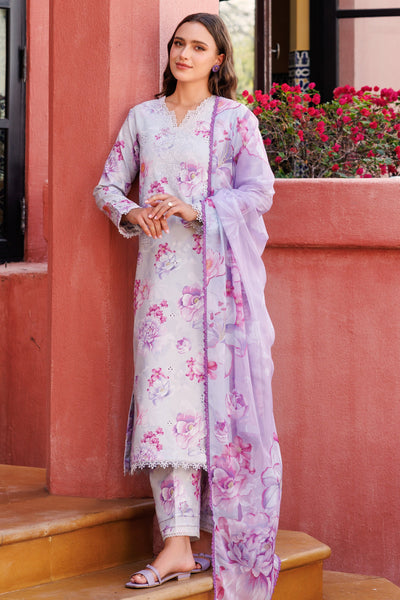 Aurea Summer Lawn