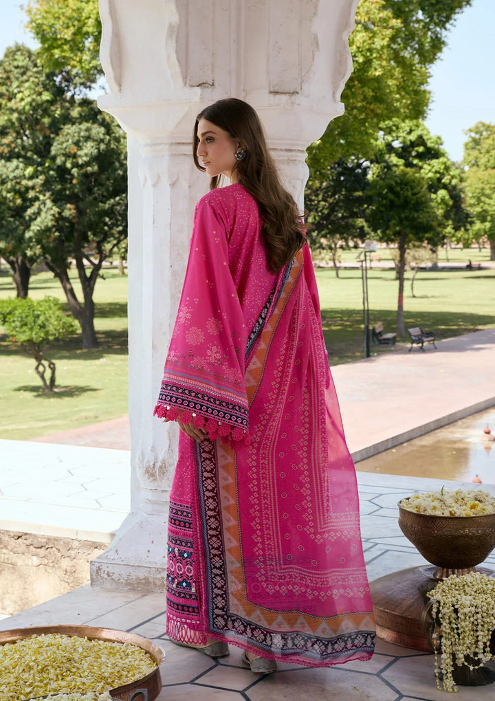 PRINTS CHIFFON COLLECTION &