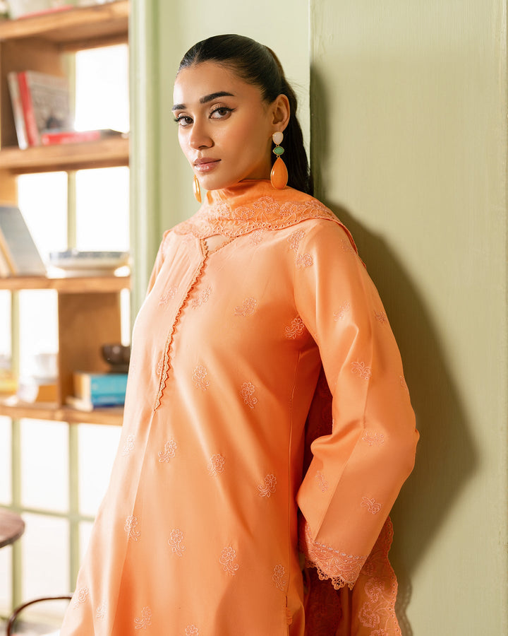 Premium Chikankari