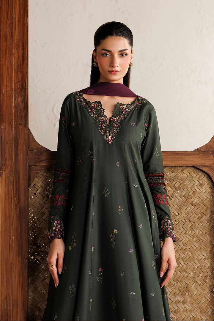 Festive Embroidered Lawn