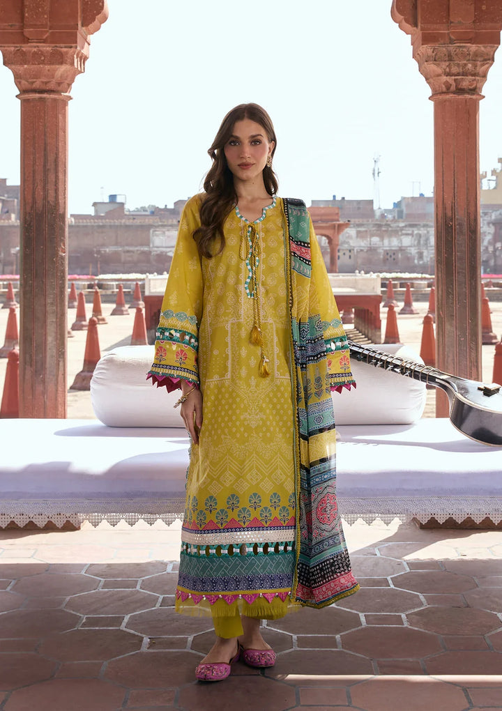 PRINTS CHIFFON COLLECTION &